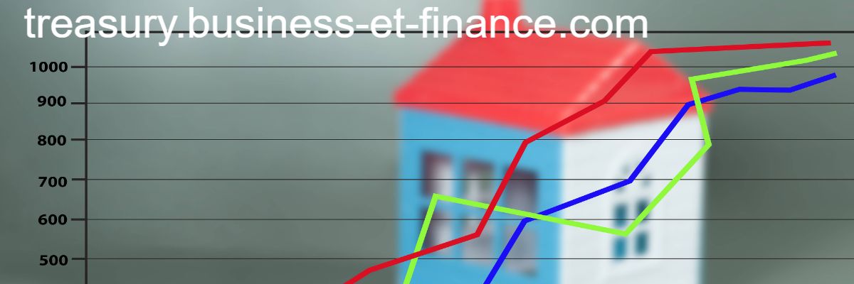 treasury.business-et-finance.com